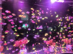 -南昌融创海世界