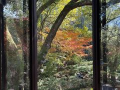 -中国茶叶博物馆(双峰馆区)