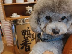 -一杯潮茶·专注潮汕茶饮(朝阳庄店)