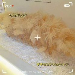 -佳妍惠美科技美肤美体中心
