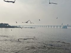 -星海广场