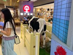 -红星前进面包牛奶公司(君太店)