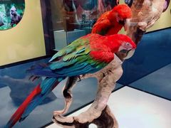 -国家自然博物馆