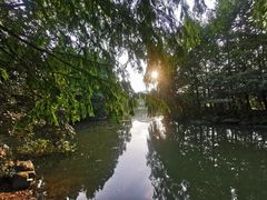 -美丽洲堂