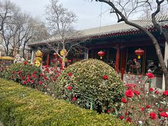 -白家大院·王府宫廷菜(苏州街店)