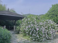 -南山风景名胜区