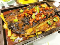 -集天餐厅(人大店)