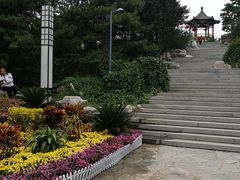 -大兴滨河森林公园