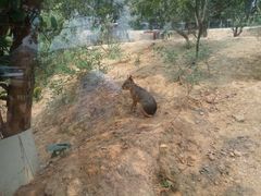 -泉州海丝野生动物世界