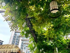 -浅深Cheersum(曹杨店)