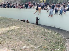 -合肥野生动物园