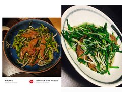 -日本料理神拉面
