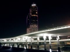 -演武大桥观景平台