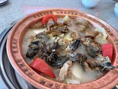 -阿婆情腊排骨火锅(金虹路店)
