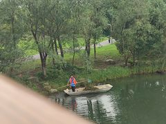 -洋湖国家湿地公园