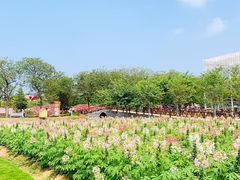 -盈香心动乐园