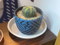 -雅享养生·中医调理·筋骨艾灸(广兰路店)