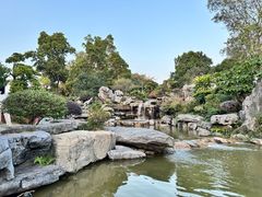 -东莞植物园