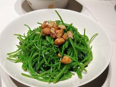 红葱头灼番薯苗-炳胜私厨(万象前海店)