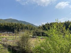 -宁波浙东大竹海景区