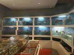 水产区-船奇蒸汽海鲜·闽菜(八市海鲜总店)