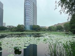 -3W咖啡(国家软件园店)