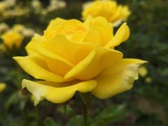 -人民公园(罗湖区)