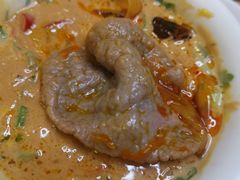 -青瓷火锅料理(西单大悦城店)