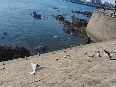-绿岛汤泉韩式休闲会所