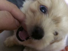 -咸宁万豪温泉谷度假区