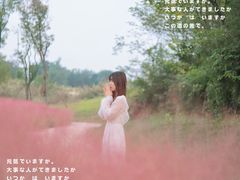 -白鹭湾湿地公园