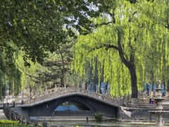 -保定市动物园