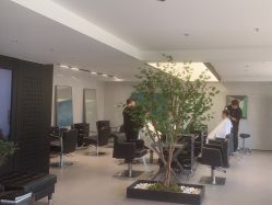 -付军剪艺JF ProSalon