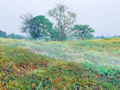 -盘龙城国家考古遗址公园