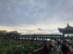 -莲花池公园