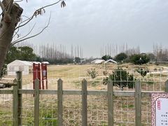 -前小桔亲子创意农场·草莓采摘·露营烧烤