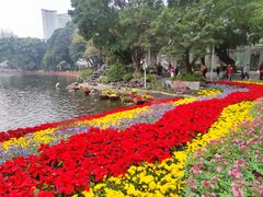 -荔湾湖公园