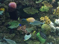 -常州海昌海洋探索馆