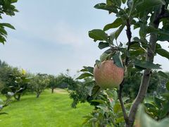 -龙熙温泉高尔夫俱乐部