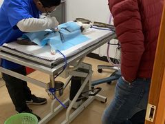 -灵美宠物诊所
