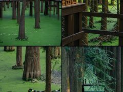 -青山湖景区