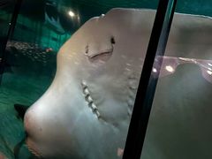 -香港海洋公园