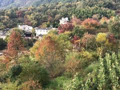 -塔川景区