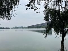 -松山湖风景区松湖烟雨