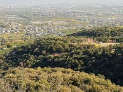 -北京西山国家森林公园