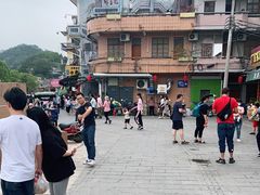 -传说中那条蛋散