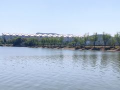 -羊山湖公园