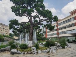 -华东饭店·园林式婚礼宴会厅酒店