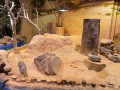 -正佳自然科学博物馆