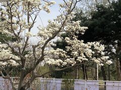 -国家植物园南园